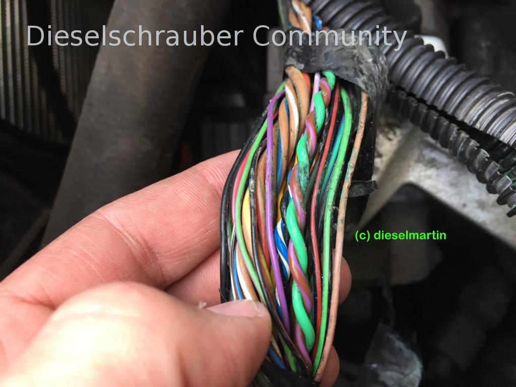 Caddy Bj 07 BLS AGR Fehler 1K_Kabel3.jpg