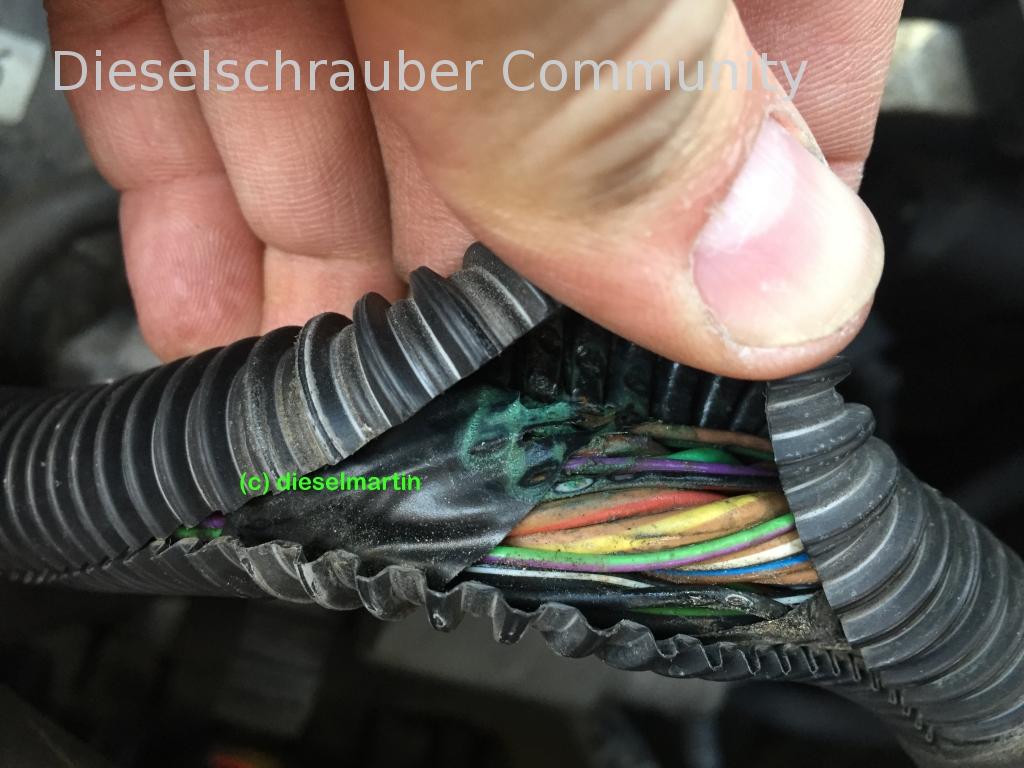 Caddy Bj 07 BLS AGR Fehler 1K_Kabel2.jpg