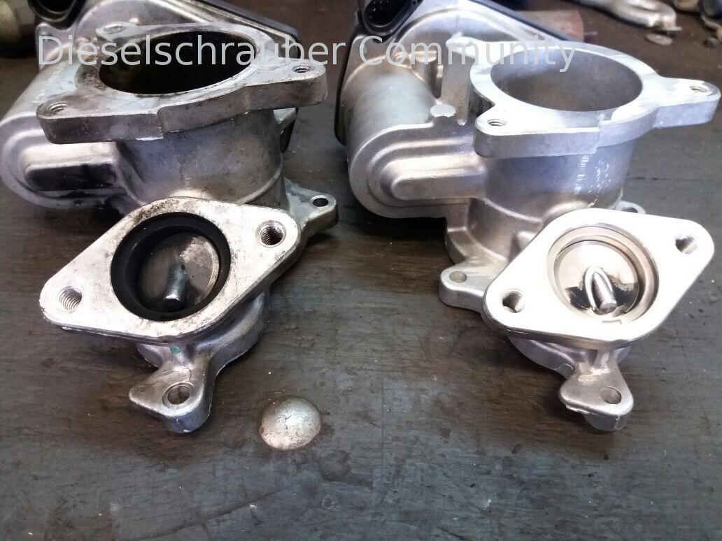 Audi A4 b6 1.9l AVF springt nicht an IMG_4407.jpg