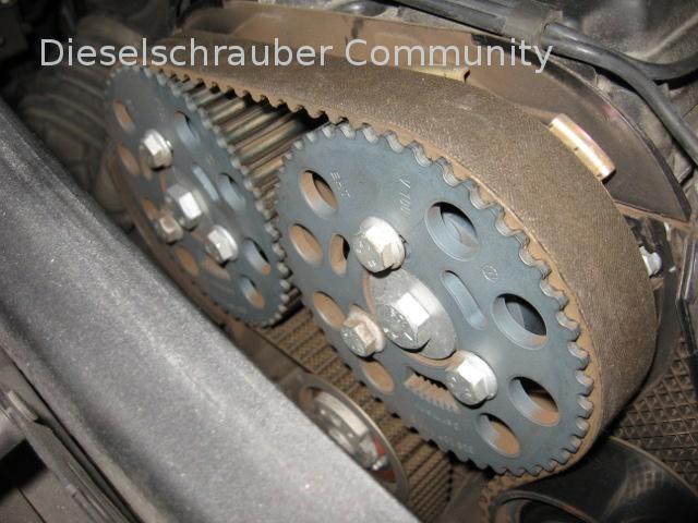 Verstellschrauben an den Rädern der Nockenwellen. Zahnriemen_TDI_16V.jpg