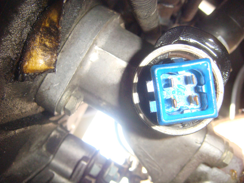 Doppeltemperaturgeber am Zylinderkopf, 1.9l TDI Motor ALH 3.jpg