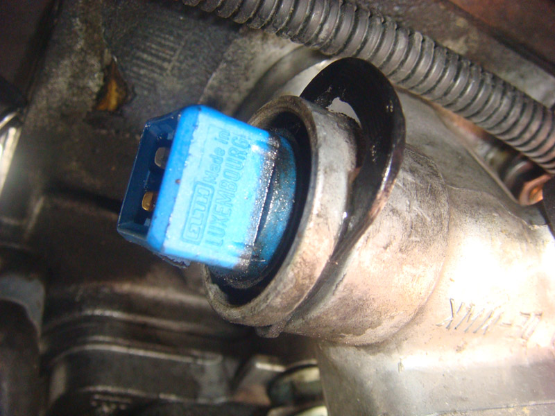Doppeltemperaturgeber am Zylinderkopf, 1.9l TDI Motor ALH 1.jpg