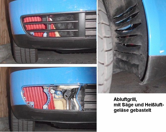 Einlaß Gitter u Kiemen.JPG