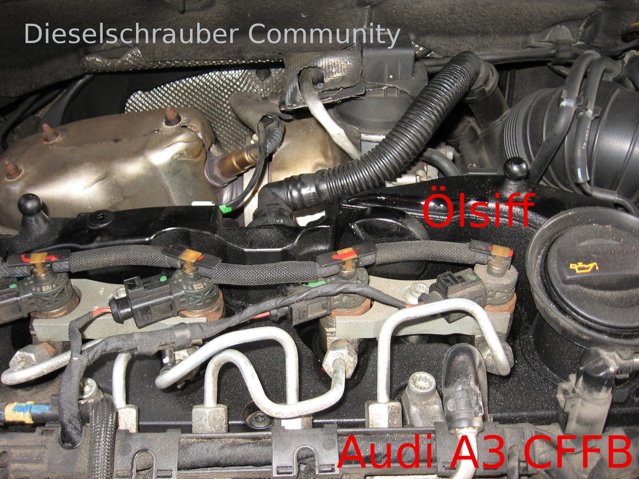 Audi-A3-CFFB-Oelsiff-Zylinderkopfhaube.jpg