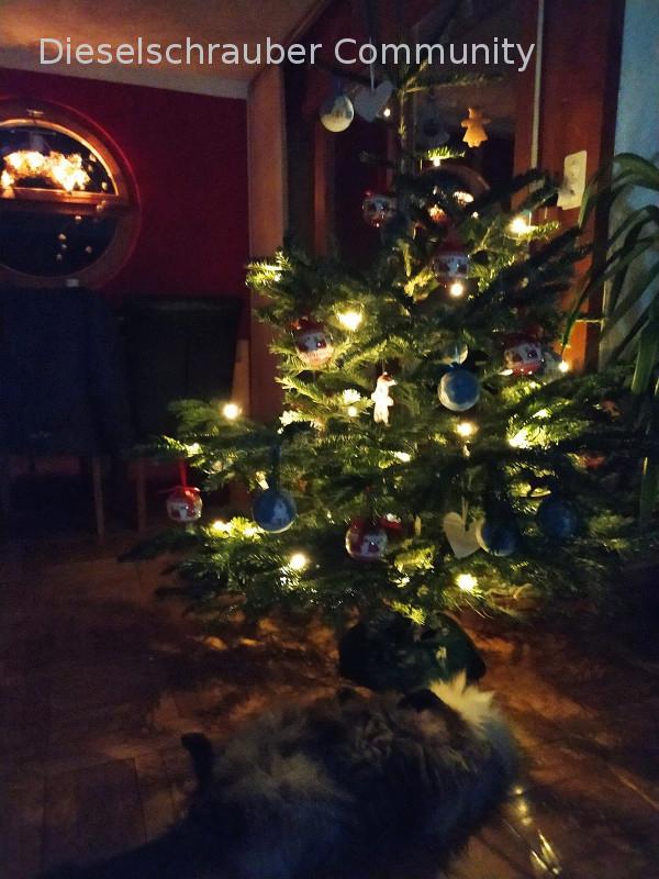 Weihnachtsbaum.jpg