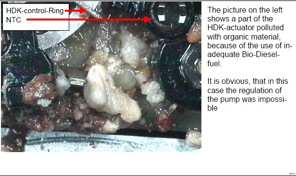 biodiesel3.jpg