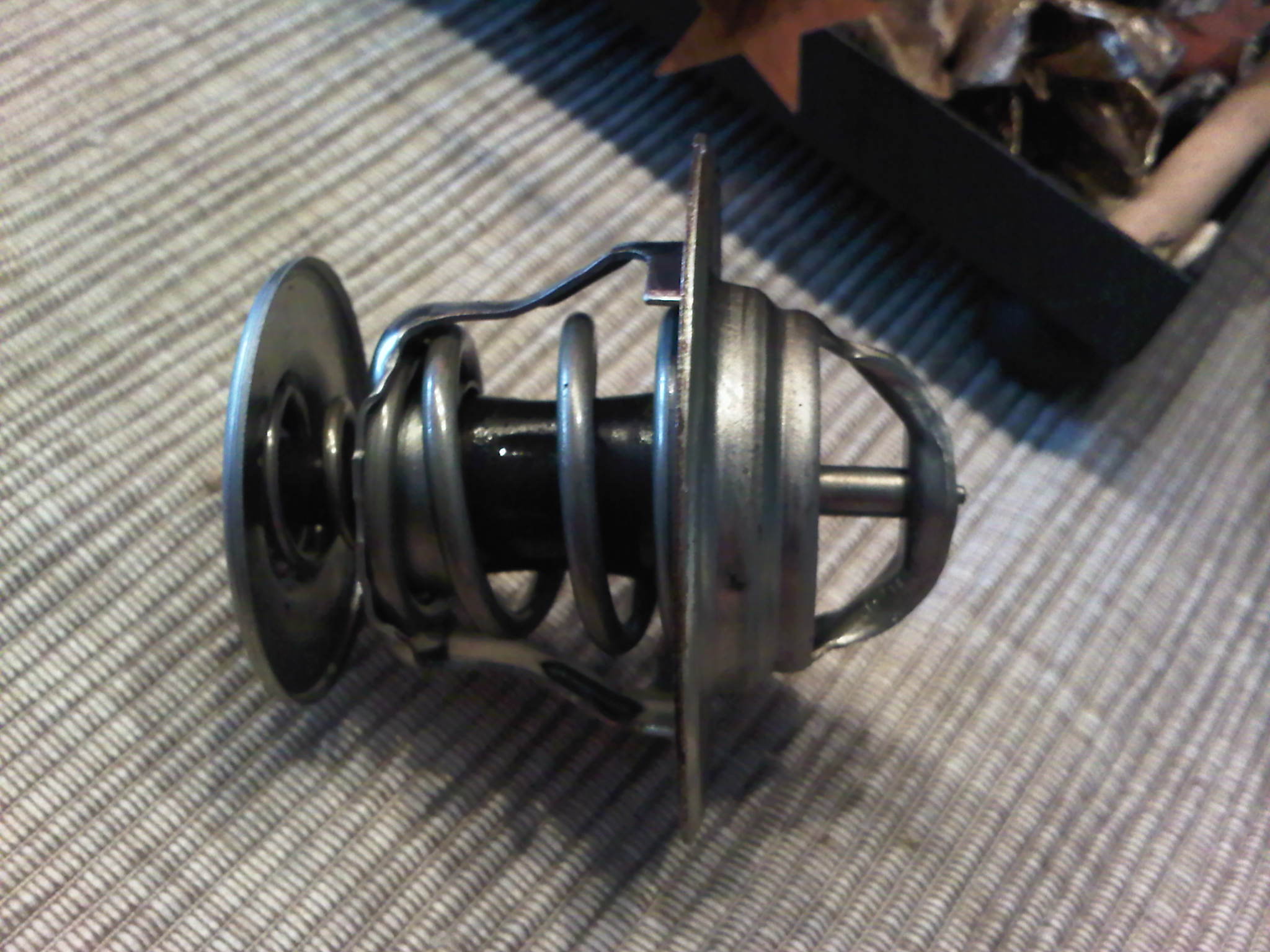 IMG00224-20101211-1134.jpg