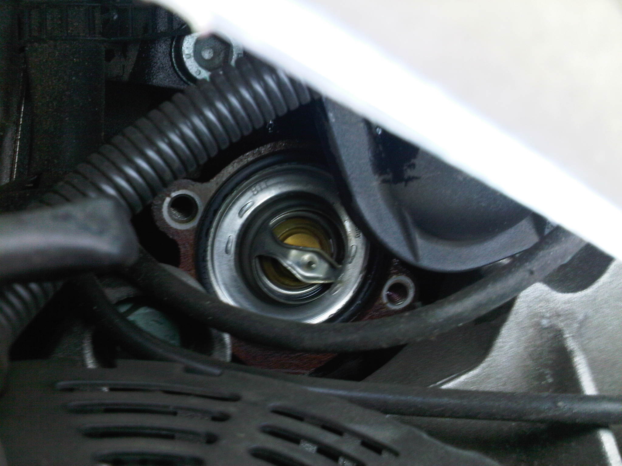 IMG00220-20101211-0828.jpg