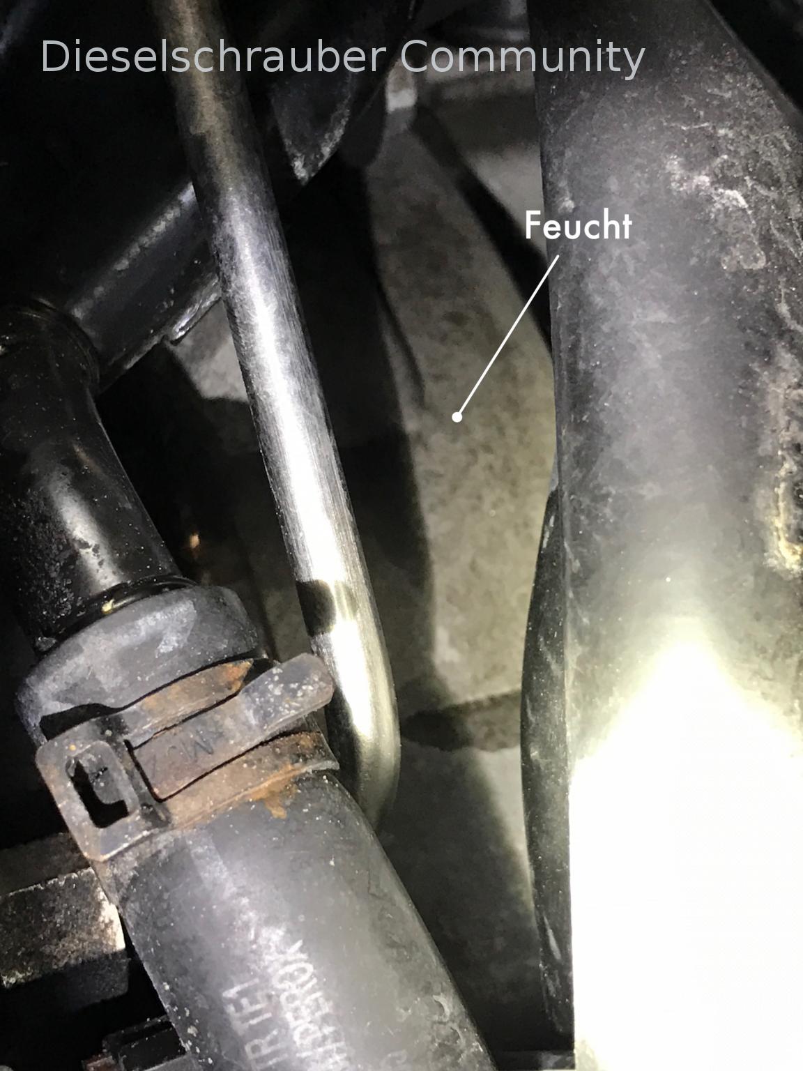 Polo 9N3: Transmission leaking oil 170320-getriebeöl-3.jpg