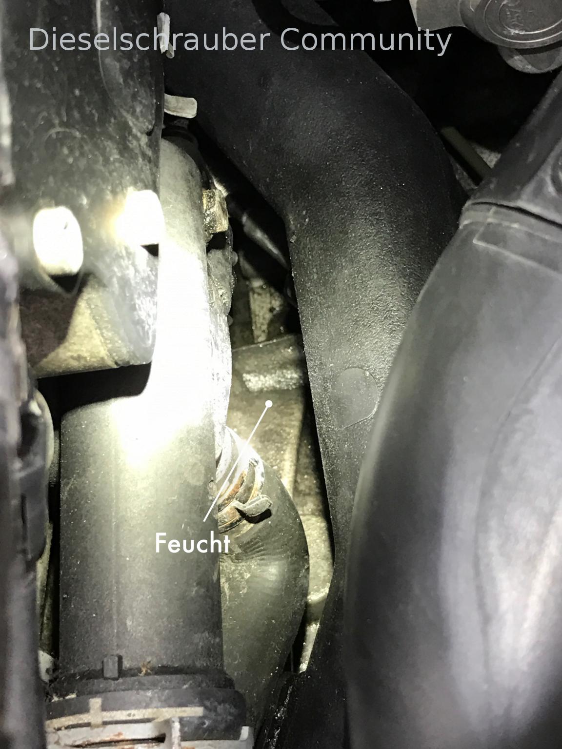 Polo 9N3: Transmission leaking oil 170320-getriebeöl-2.jpg