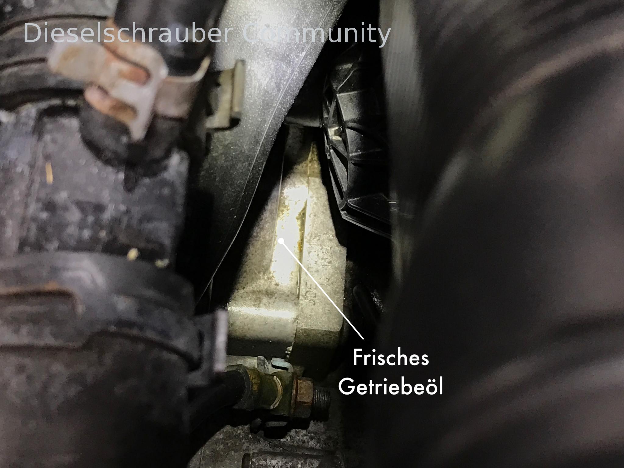 Polo 9N3: Transmission leaking oil 170320-getriebeöl-1.jpg