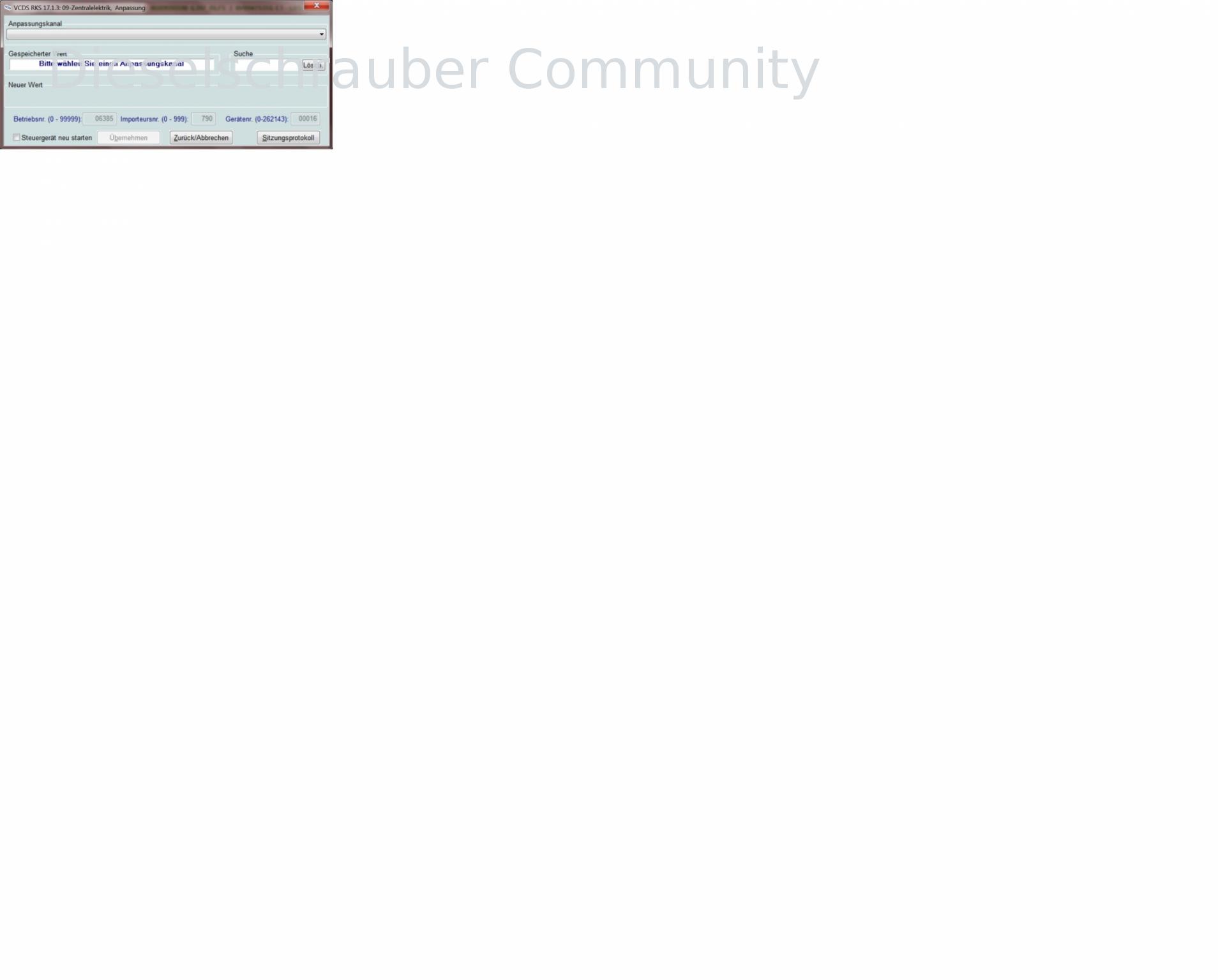 VCDS V2: Customization Options & Settings anpassung bild.jpg