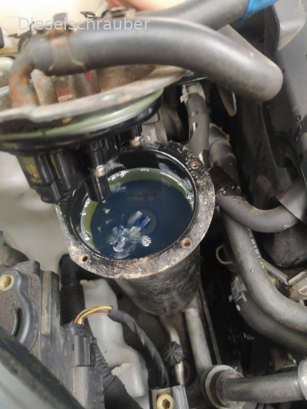 2.0TDI CBBB (Common Rail) is failing and won't start. 3C_DieselfiltergehÀuse_offen.jpg