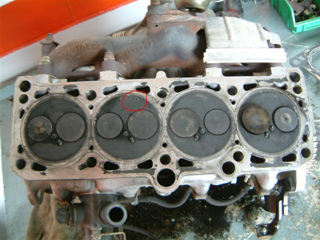 DSCF0010.JPG