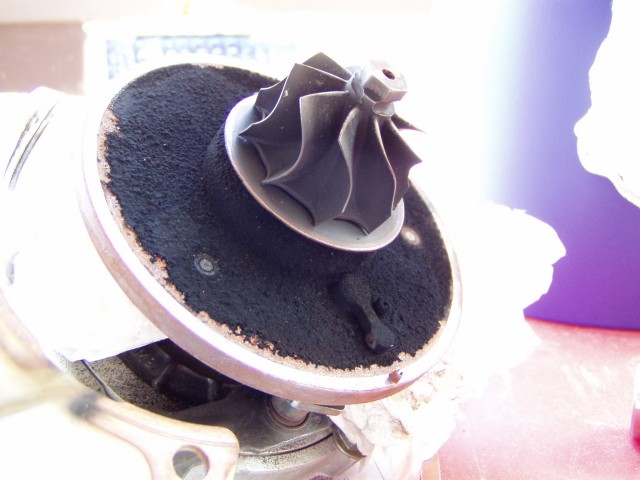 Is a slight squeaking sound from the VTG adjustment normal? P5241124.JPG
