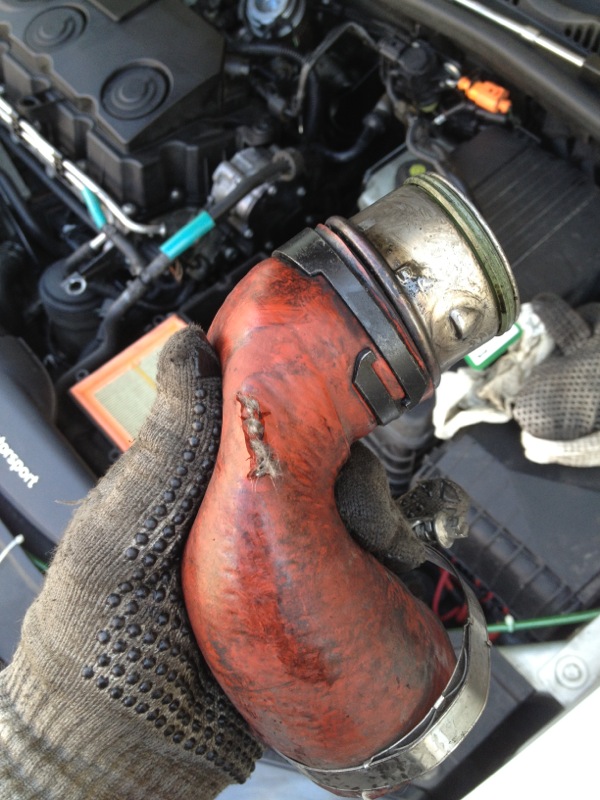 2.0 TDI BMM Leistungsmangel IMG_1296.JPG