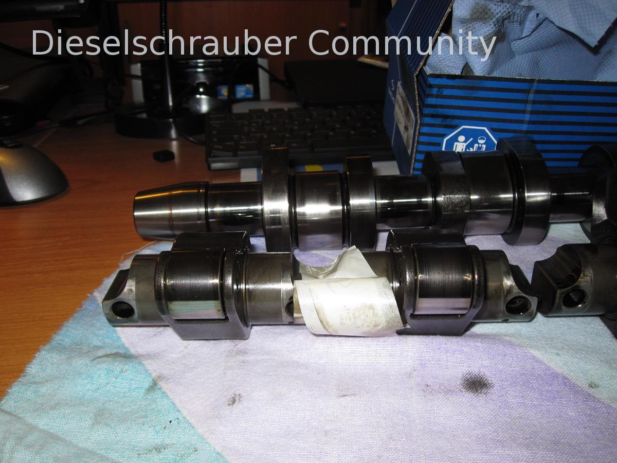 Kipphebel 1 IMG_2755 (Copy).JPG