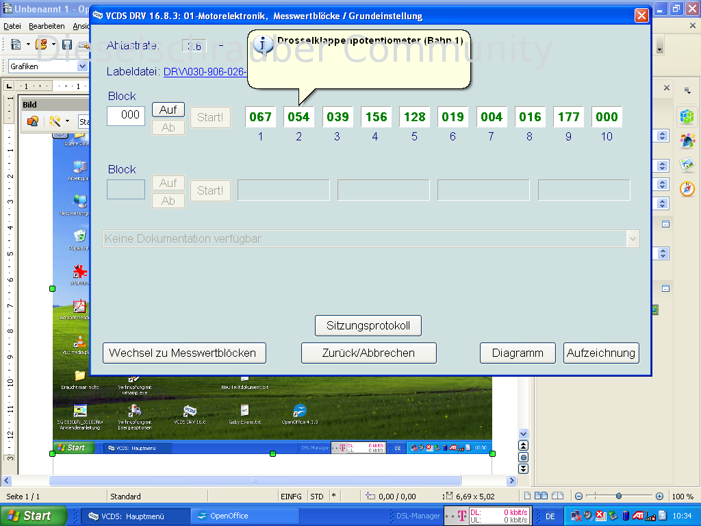 Verbrauch im Standgas Polo 86c AAV frankxxx.png