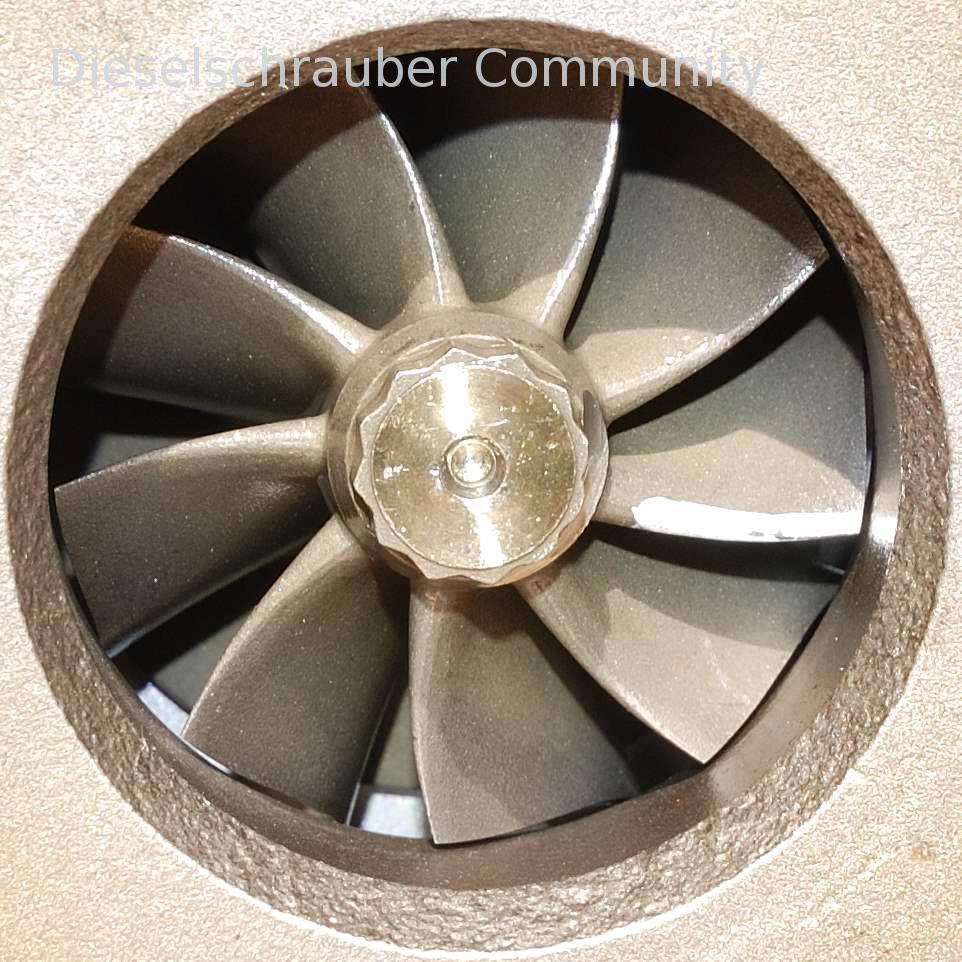 Passat 2,5 TDI BDH Leistungsverlust und Geräusch DSC_8020.JPG