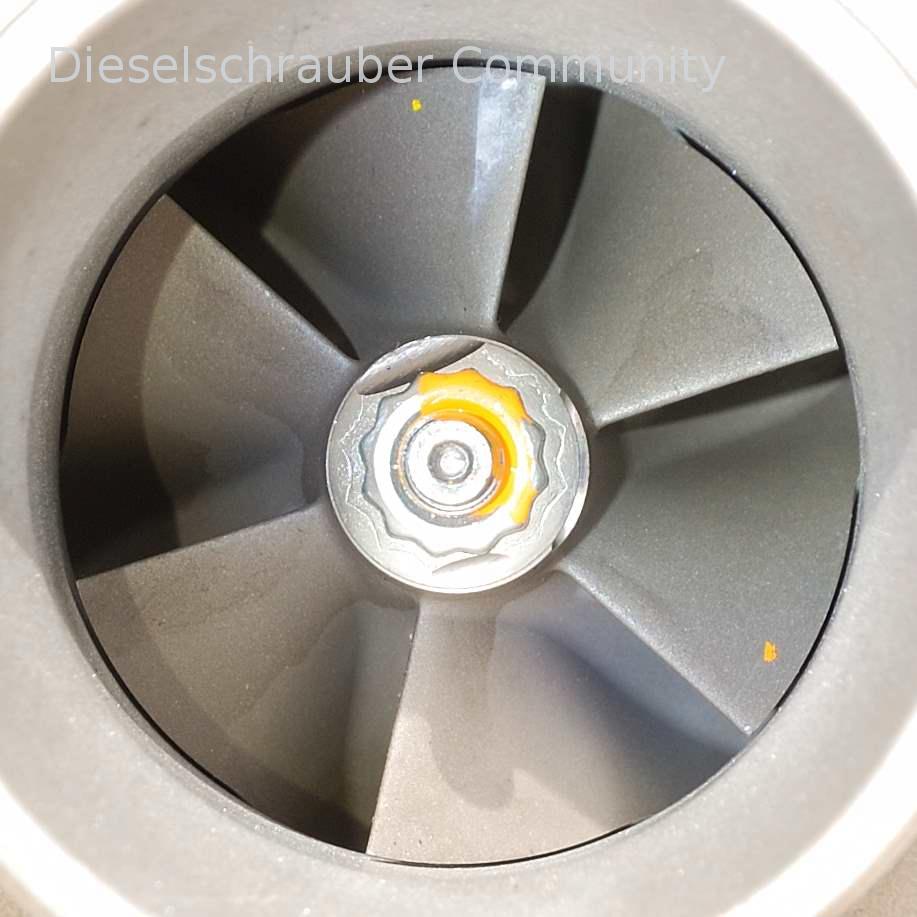 Passat 2,5 TDI BDH Leistungsverlust und Geräusch DSC_8024.JPG