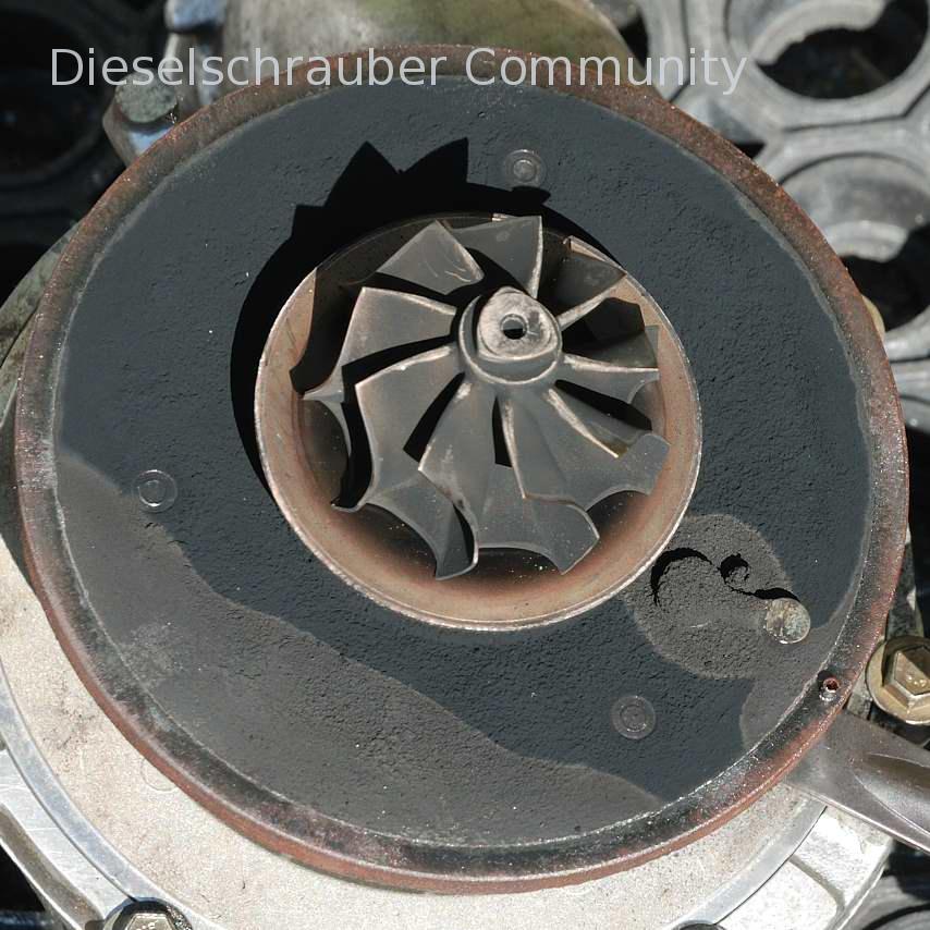 Passat 2,5 TDI BDH Leistungsverlust und Geräusch DSC_8173.JPG