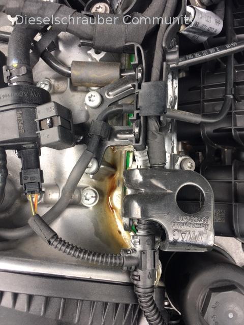 Öllache auf dem Ventildeckel nach zweitem Abdichtversuch Ventildeckel2.JPG