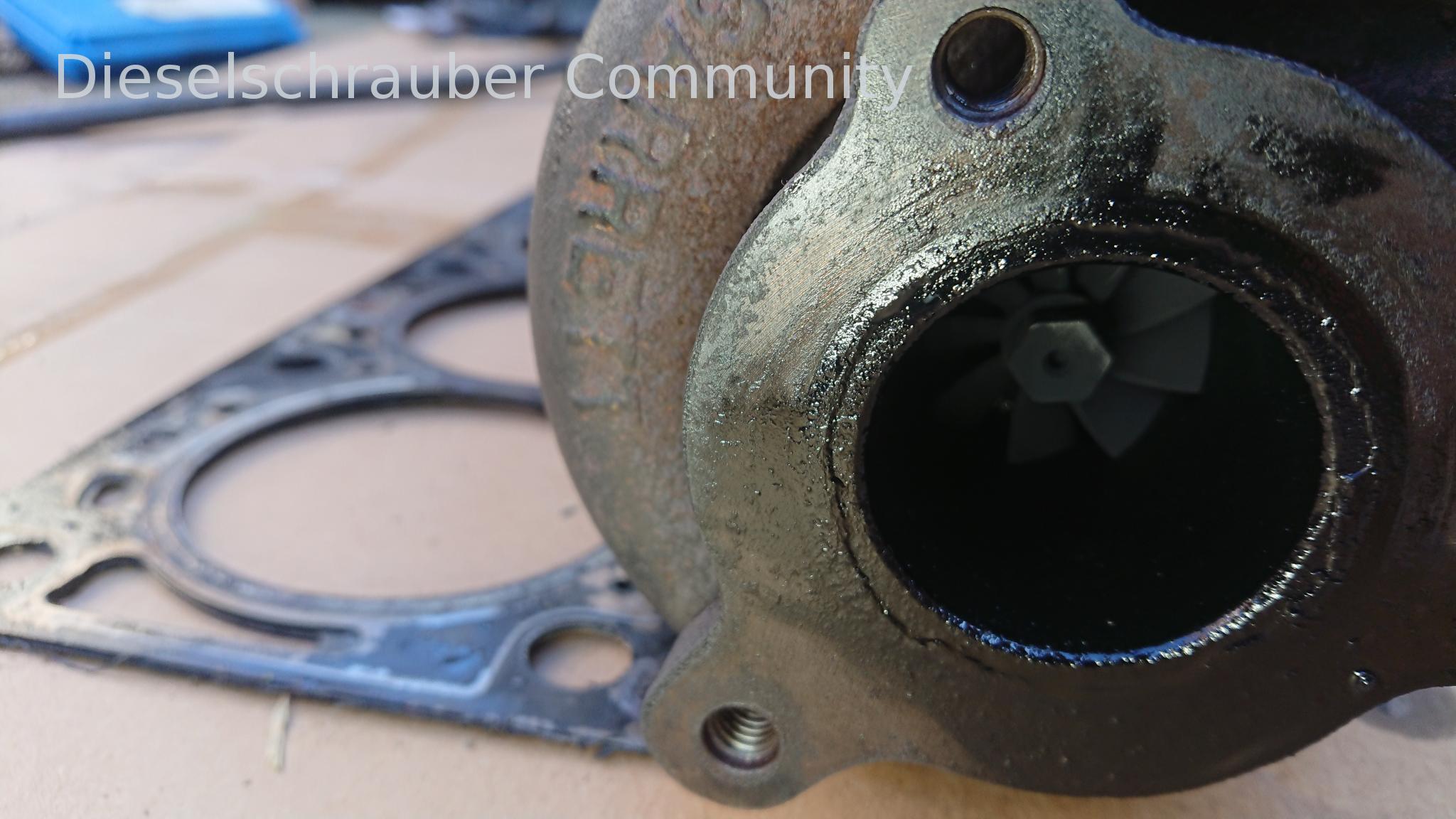 F9Q 1,9DCI: Il turbocompressore spinge l'olio nel sistema di scarico. DSC_1123.JPG