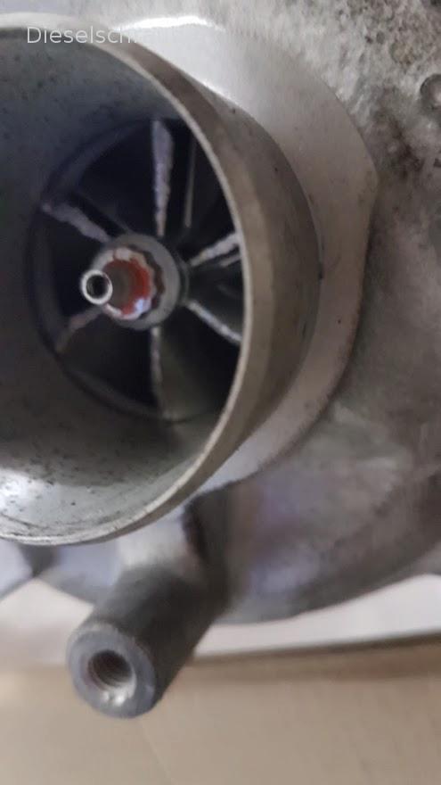 Causa del danno al turbocompressore: problema nella parte compressore? 20210828_203259.jpg
