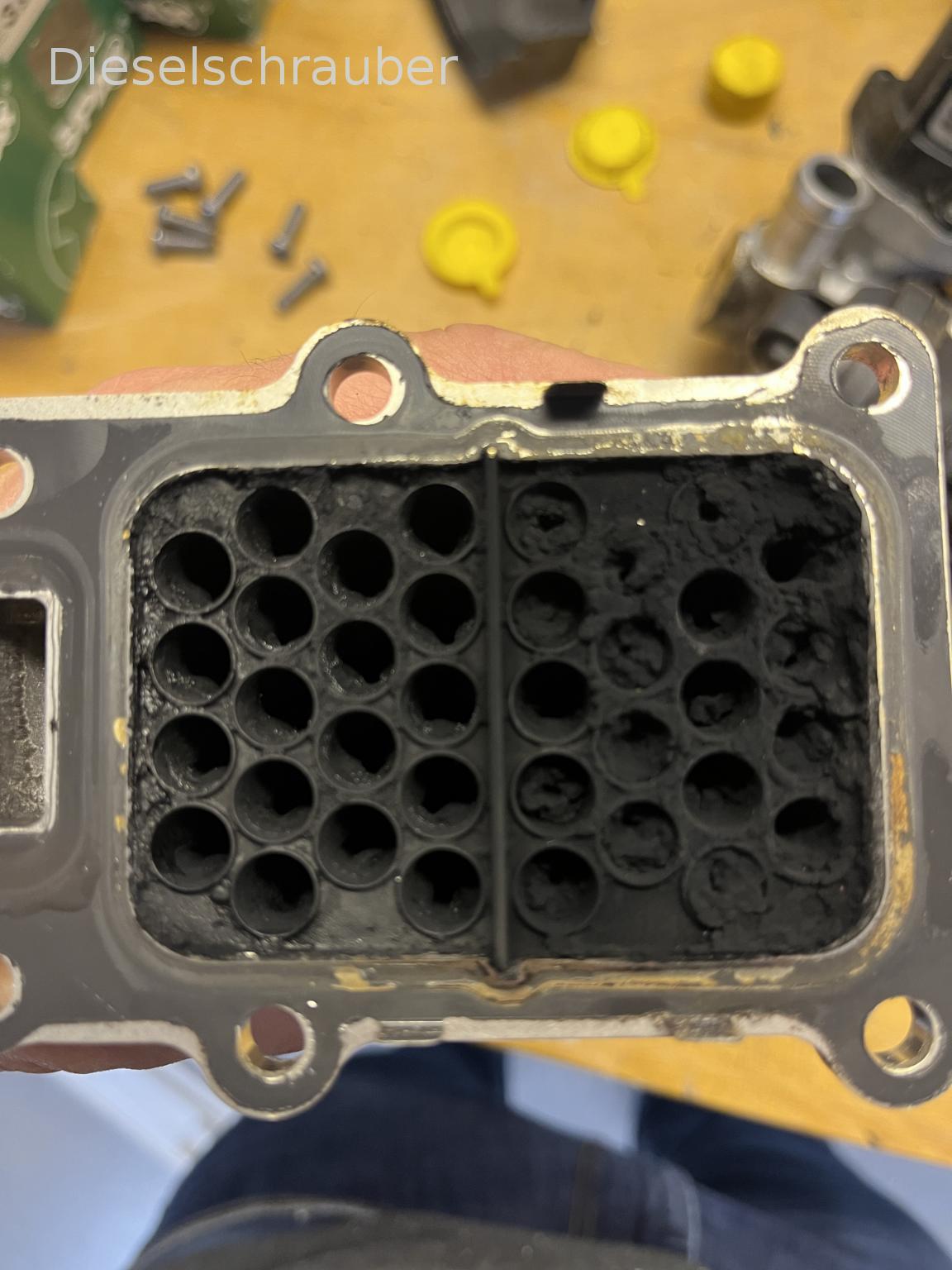 CAYC presenta vibrazioni dopo la sostituzione del radiatore del sistema EGR DA0CA7AB-FD1C-4790-9C01-32738E2CB5B9.jpeg