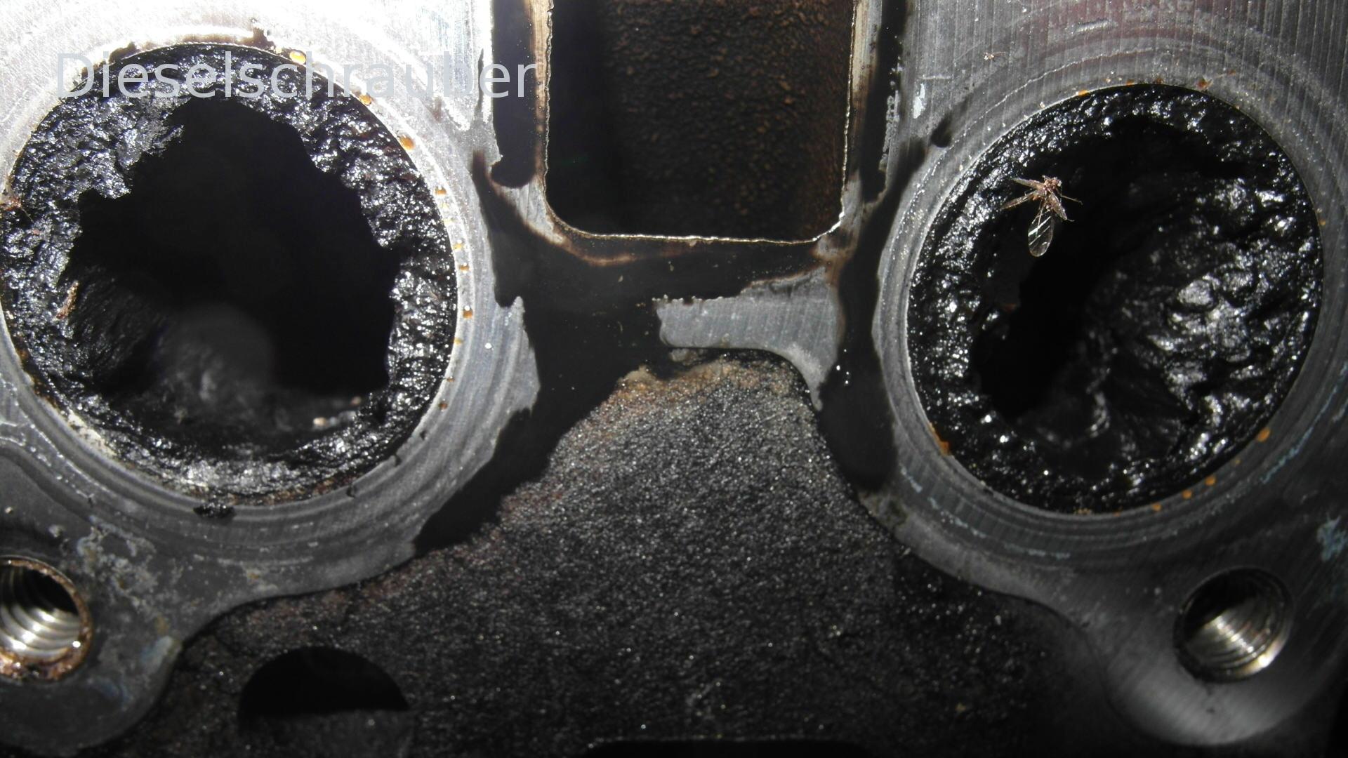 Perdita di acqua di raffreddamento: EGR o testata? SAM_9378.JPG