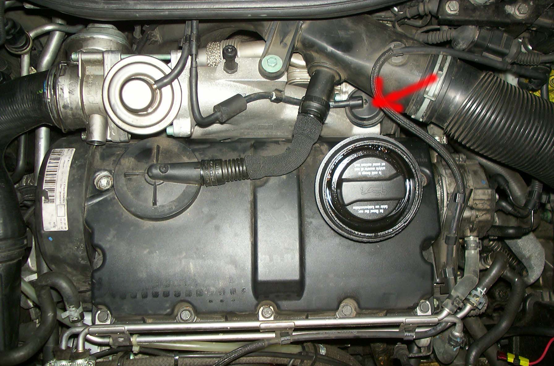 DCP_6984.JPG