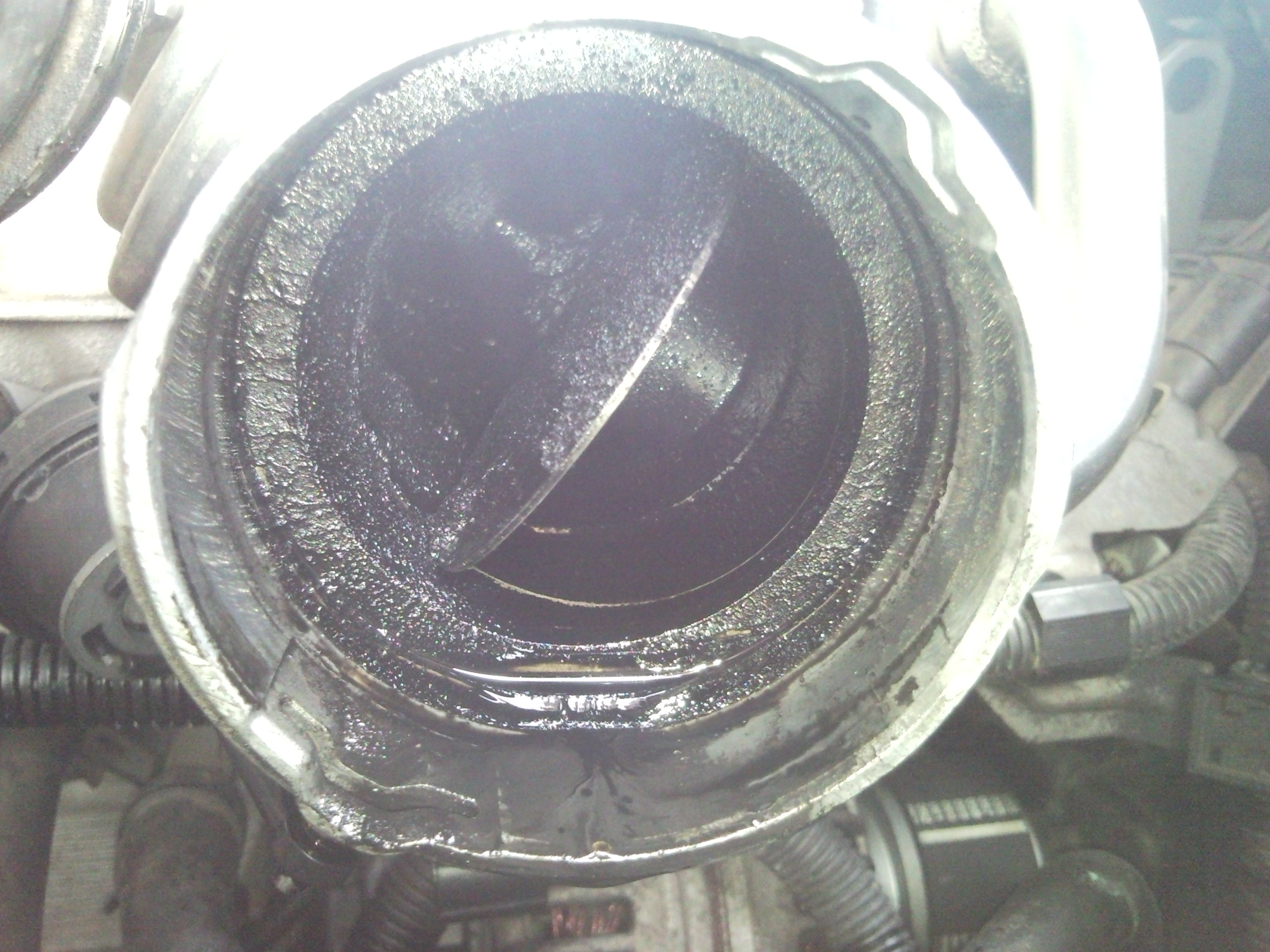 R5TDI - Motor VW Touareg - Leistungsverlust? SNC00458.jpg