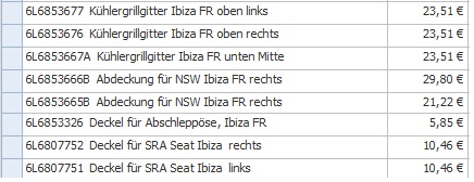 Xenonlicht Ibiza 6L (nicht Cupra) preise.jpg