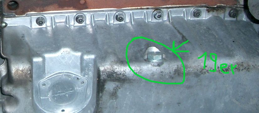 Details für Ölwechsel beim Ibiza GP01 SDI ASV_Oelschraube.jpg