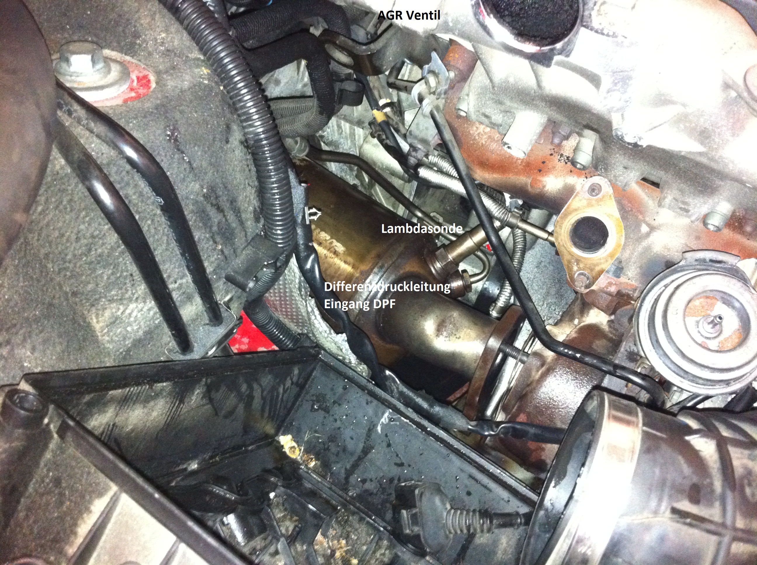 Flansch des DPF, Audi A4 Avant 8E IMG_1718.JPG