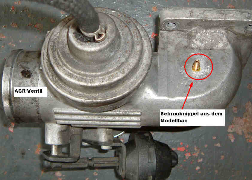 LDA T4 ACV: Guida e Informazioni AGR angezapft.jpg