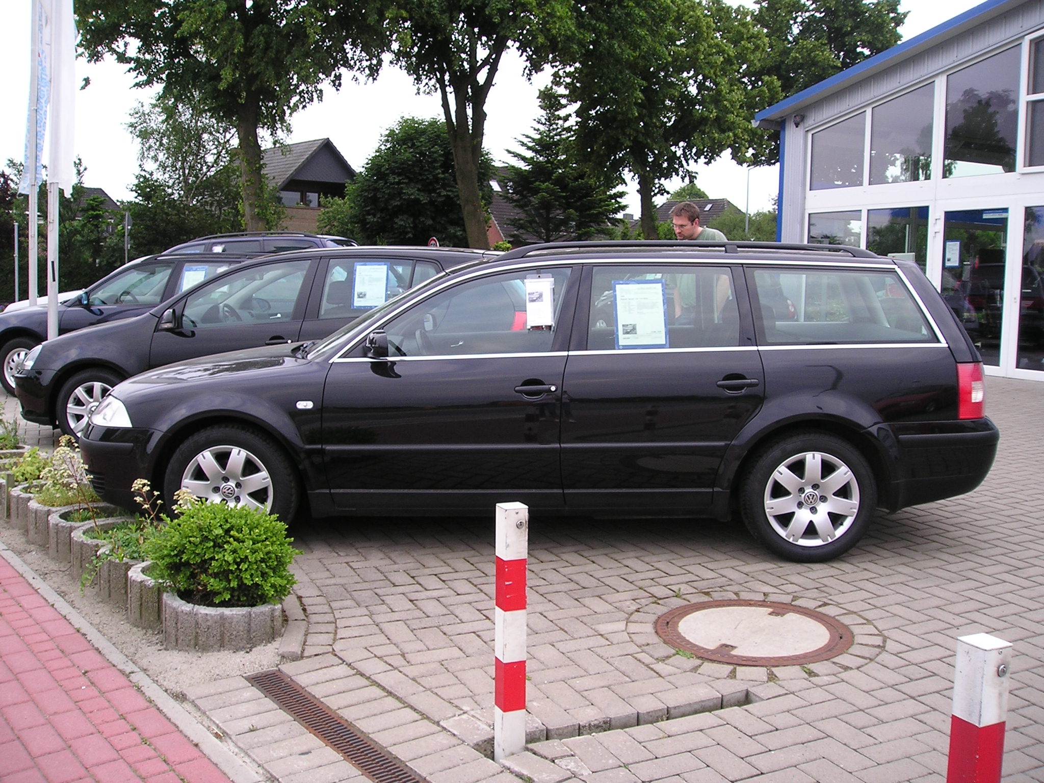 ...original P1010688.JPG